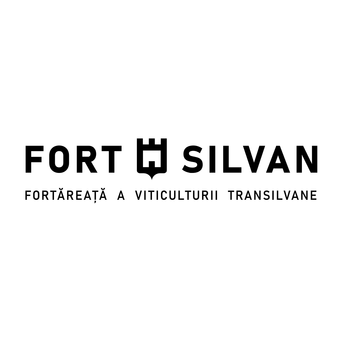 Fort Silvan